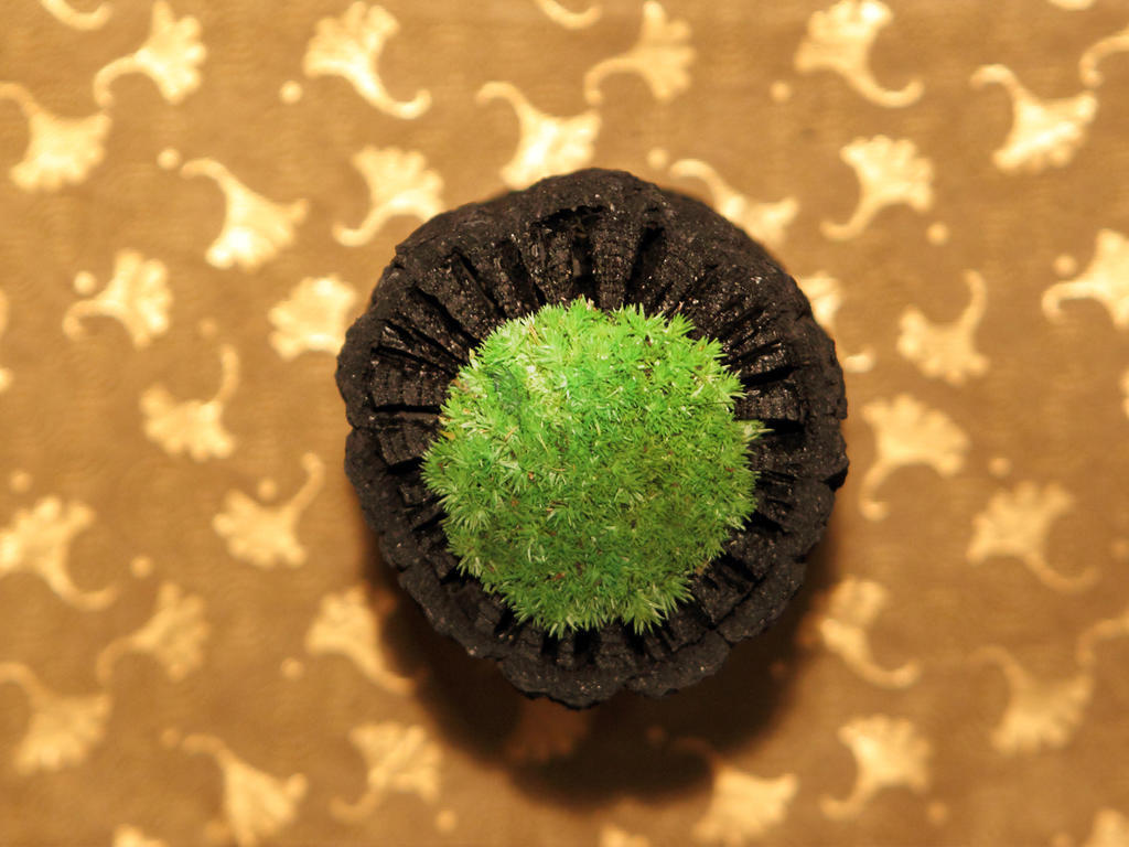 아사야 호텔 닛코 시 외부 사진 A green Starburst